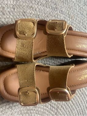 Coach and Four Suede Double-Buckle Slide Sandals - Brown